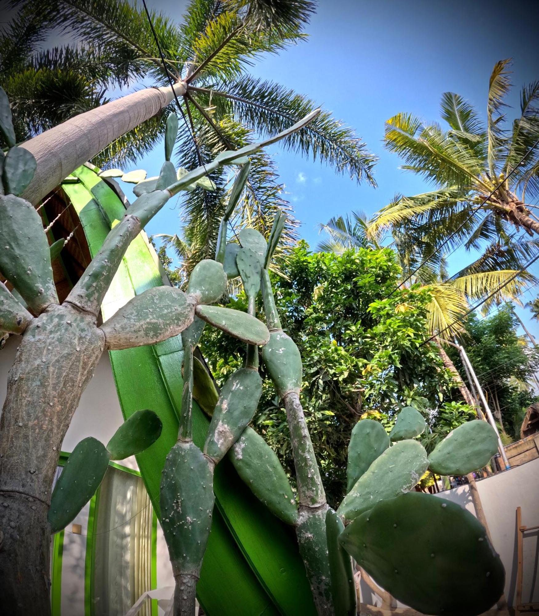 Kaktus Bungalow 4 Gili Air Zewnętrze zdjęcie